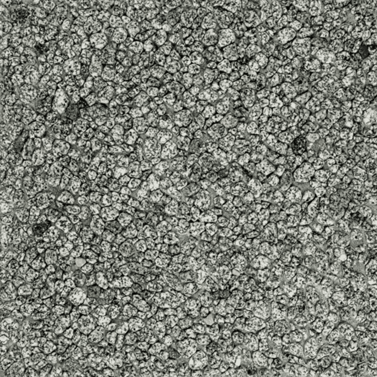 Wash Beton 5