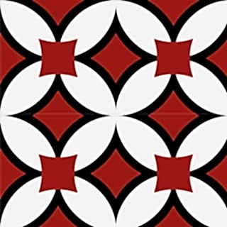 4060-20x20 Desenli Seramik Karosu